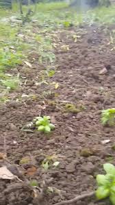 Internet services, family friendly rooms, indoor lift, parking space, it's allowed to check into with pets, snack bar. Il Casone Rapallo Italy Home Facebook