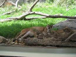 Living Desert Zoo And Gardens State Park State Parks Trip Advisor Carlsbad