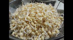 Memasarkan tauge dari kacang ijo di olahan tauge joni mengandalkan kwalitas produk,tauge super dan bagus pasti laku di pasaran,jadi pembuatanya harus maxsimal bagus tauge rusak pasti akan mengurangi kwalitas produk.lalu bagaimana dari pengalamanya jualan tauge,sejak mulai memilih kacang bahan baku membuat tauge,proses pengolahan tauge sampai. Cara Mudah Membuat Toge Kacang Hijau Sendiri Di Rumah Cara Membuat Kecambah Youtube