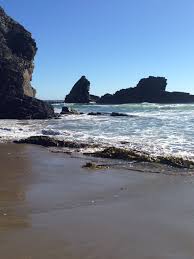 Gualala, Ca Pirates Cove beach. A little piece of paradise! | Pirates cove,  Gualala, Beach