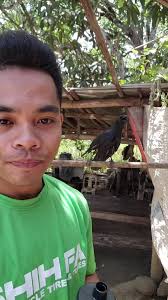 How I Think The Crows Would Dance