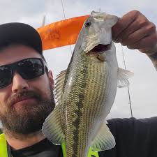 3 '25 Lake Allatoona Georgia BASS Nation