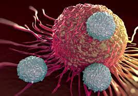 Is Your Immune System Unhealthy Why Things Can Go Wrong Cleveland Clinic