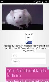 Hangi Hayvansiniz Testi 1333555 Uludag Sozluk Galeri