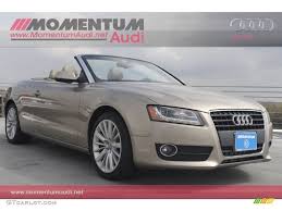 Image result for Aurum Beige 2010 A5