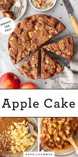 Apple Cake Recipe Love And Lemons Recipe Recipes Apple Cake Recipes Apple Cake