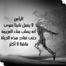 النجاح نت Annajahnet Instagram Photos And Videos Instagram Photo Instagram Photo