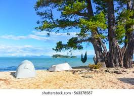 The area has kiosk, electric bbq's, picnic benches, toilets, drinking water, garbage facilities, and shade provided by trees. Apple Tree Bay Campsite Abel Tasman Stock Photo Edit Now 563378587