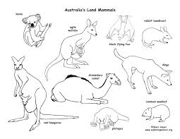 These fun animal coloring pages make any time a happy time! Desert Animals Drawing With Names Novocom Top