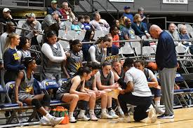 Image result for Marquesia