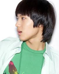 What year was this SHINee performance?