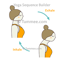 Check spelling or type a new query. Neck Exercise Turtle Neck Flow Close Up Yoga Yoga Sequences Benefits Variations And Sanskrit Pronunciation Tummee Com