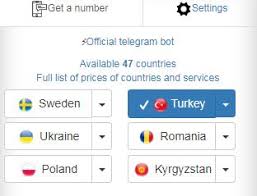Get a virtual sim card for calls and text messages. How To Bypass Requests Turkish Phone Number When Register A Turkish Netflix Account