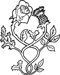 Can't decide on a line drawing and something floral? Rose Outline Png Black Outline Thistle With Rose Tattoo Stencil Thistle And Rose Tattoo 419496 Vippng