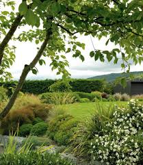 Nz House Garden On Instagram Border Plantings On The Top Level Of The Ryan S Garden Adds Splashes Of C Native Plant Landscape Garden Ideas Nz Native Garden