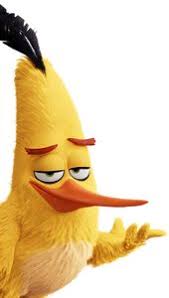 Crazy Bird From Finding Dory Angry Birds Movie Official Movie Site Sony Pictures Angry Birds Characters Cute Cartoon Wallpapers Angry Birds