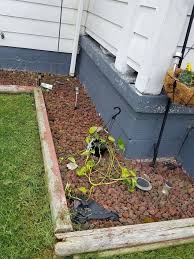 Any ideas, info or links would be most appreciated. Landscaping Ideas For My Front Yard Hometalk