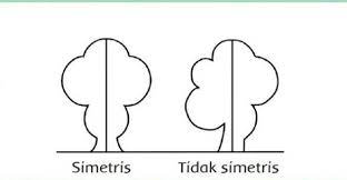 We did not find results for: Temtik Kelas 3 Tema 7 Halaman 90 Tentang Bentuk Bangun Datar Dan Banyak Simetri Lipat Brainly Co Id