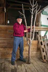 More than 690 tree branch coat rack at pleasant prices up to 17 usd fast and free worldwide shipping! Woodworking Project From Tree Branch To Coat Rack Do It Yourself Mother Earth News