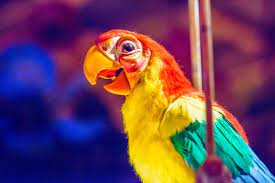 Mickeyphotos Tiki Room Bird At Disneyland Tiki Room Disneyland Enchanted Tiki Room
