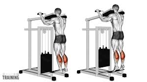 Calf Raises