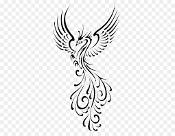 Below the head, extend two curved lines, allowing them . Phoenix Bird
