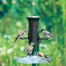 If it's those delightful goldfinches you want to entice into your garden, then niger seed will be your feed of choice. Challenger 4 Port Nyjer Feeder Starter Pack Cj Wildlife