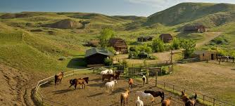 Life in saskatchewan is generally not that bad as people often portray. La Reata Ranch Saskatchewan Kanada