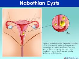 Pin On Women Health