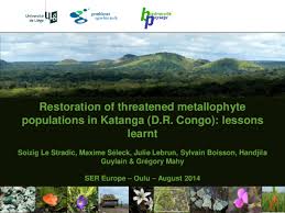 Image result for Crepidorhopalon tenuis