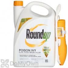 How long does it take for roundup poison ivy killer to work. When Is Roundup Poison Ivy Plus Tough Brush Killer Safe For Pets To Be In The Area