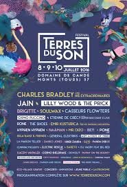 Concours Festival Terres Du Son Programmation 2016 Et Pass A Gagner Affiche Festival Festival Mises En Page Design Graphique