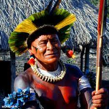 While most have contact with the wider world and have lifestyles that include both modern. People In The Amazon Rainforest