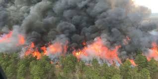 Forest Service, volunteer firefighters work to douse Bladen Co. wildfire