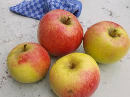 Mewarnai apel dan cacing halaman halaman mewarnai gratis untuk diunduh. Apel Alam Taman Musim Panas Berkebun Memetik Buah Buah Buahan Musim Piqsels