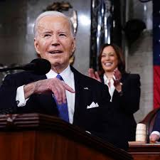 Image result for Bidens diversa