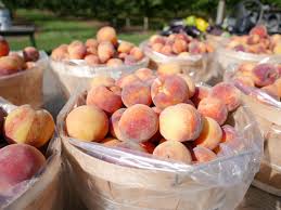 Guide To Peach And Nectarine Varieties