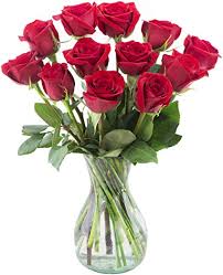 Amazon fresh cut flowers delivered. Amazon Com Delivery By Thursday September 23rd Arabella Bouquets Dozen Red Roses With Vase Fresh Cut Flowers Grocery Gourmet Food