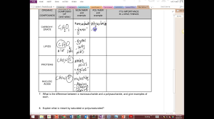 Answers Biochemistry Worksheet Youtube