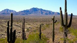 Save old town to your lists. Best Easy Day Hikes In Phoenix 5 Trails For Beginners