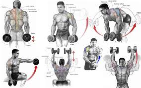 77 Circumstantial Shoulder Weight Workouts