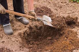 A dirt rake is used after tilling or turning the soil, and it is often the last step in garden bed preparation before planting. How To Plant And Grow Tomatoes In Clay Soil Gardener S Path
