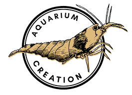 The Neocaridina Tree Aka Cherry Shrimp Aquarium Creation