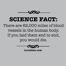 16 Awesome T Shirt Designs That Make You Think Funny Quotes Science Fact Work Humor