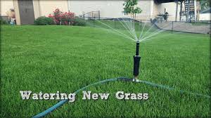 It is best water your yard between early in the morning, preferably between 4.am and 10.am. How Much To Water New Grass Seed