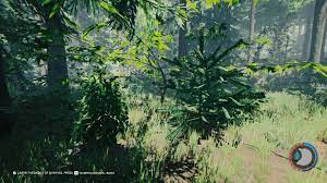 For any trees that do not have leaves during the winter months then a tarp would not be necessary. Tree Official The Forest Wiki