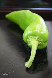 We did not find results for: Peperoni Verdi In Agrodolce In Padella Ricette Di Cucina Gustosa Ricerca