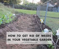 If you are looking to establish a new garden bed, define it using a hose, string, or rope. 12 Ways To Make Weeds Go Away Naturally Life Is Just Ducky