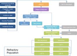 What are the lung cancer stages? The Present And Future Burden Of Previously Treated Advanced Non Small Cell Lung Cancer Nsclc By Histology And Line Of Therapy In France Germany Italy And Spain Model Based Predictions Population Health Metrics