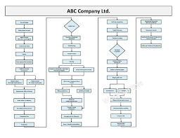 develop process flow charts for any your process